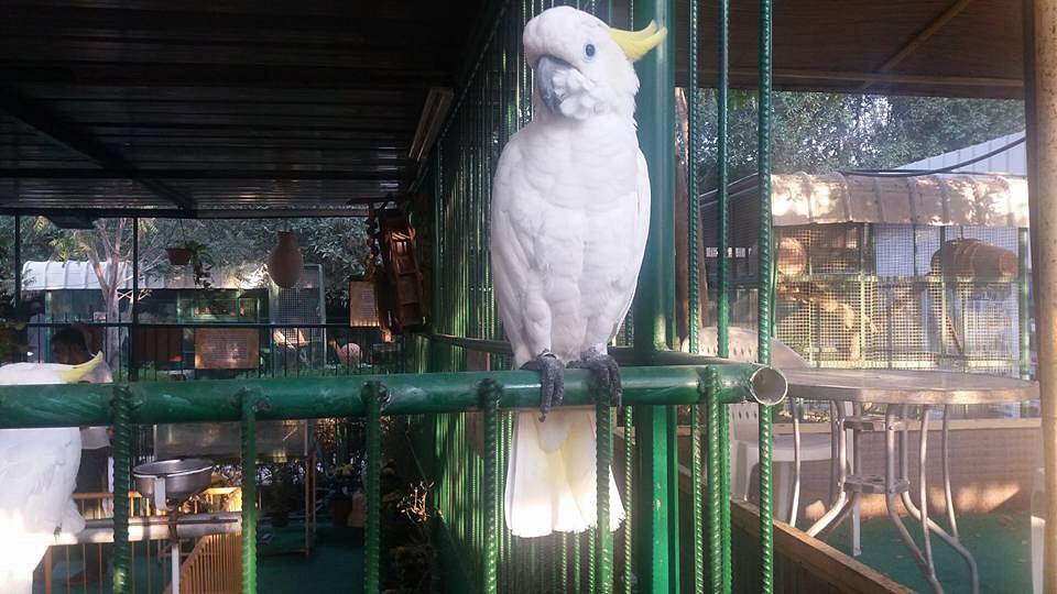 Barka Zoo: An Naman Park in Oman has 5 amazing ameneties.