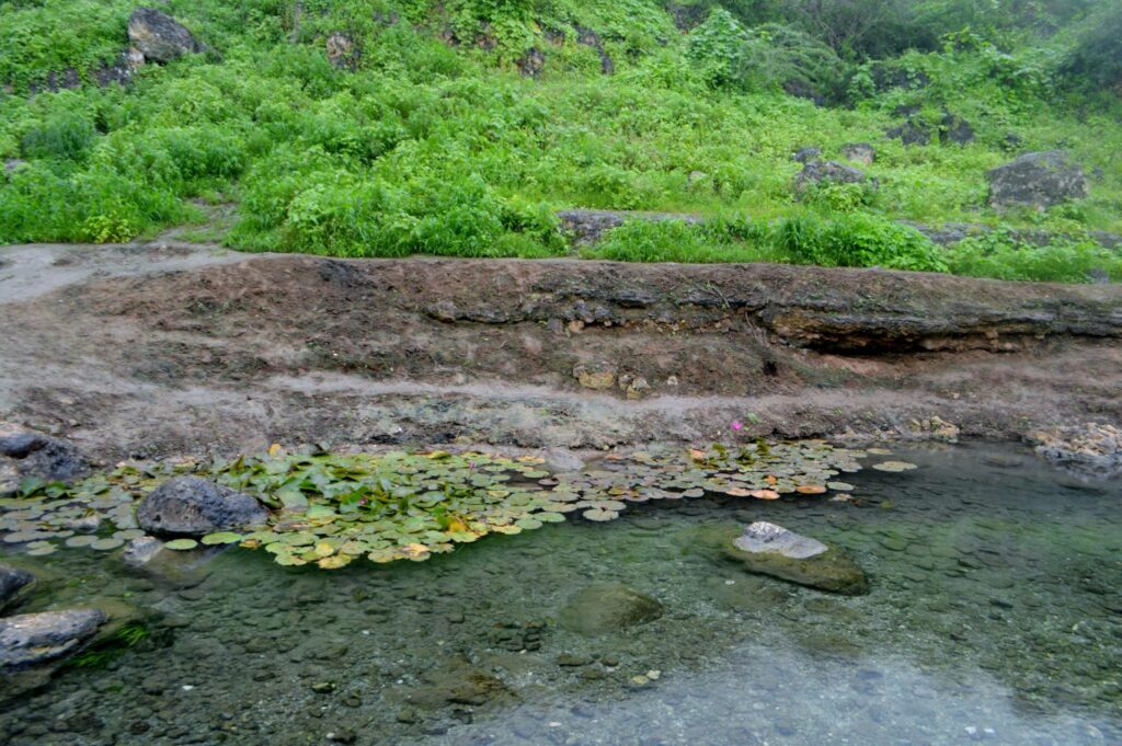 Top 10 Salalah Tourist Places