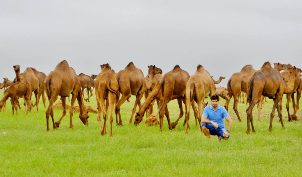 Top 10 Salalah Tourist Places